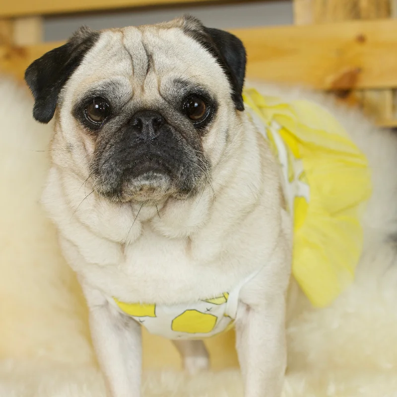 Lemon Fruit Pug Dress