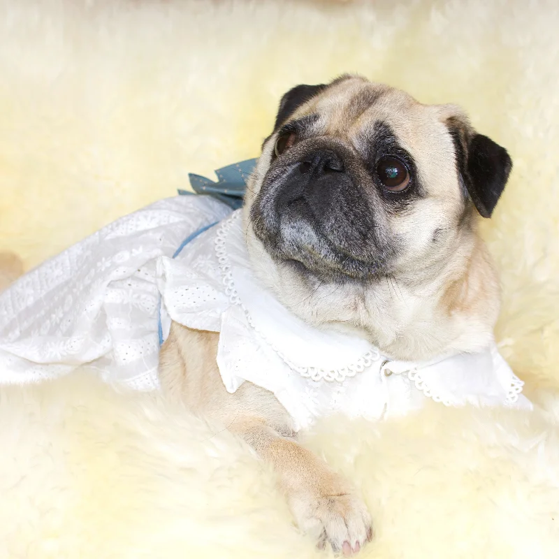 White Lace Pug Dress